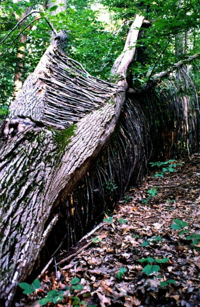 Shelter - 2006