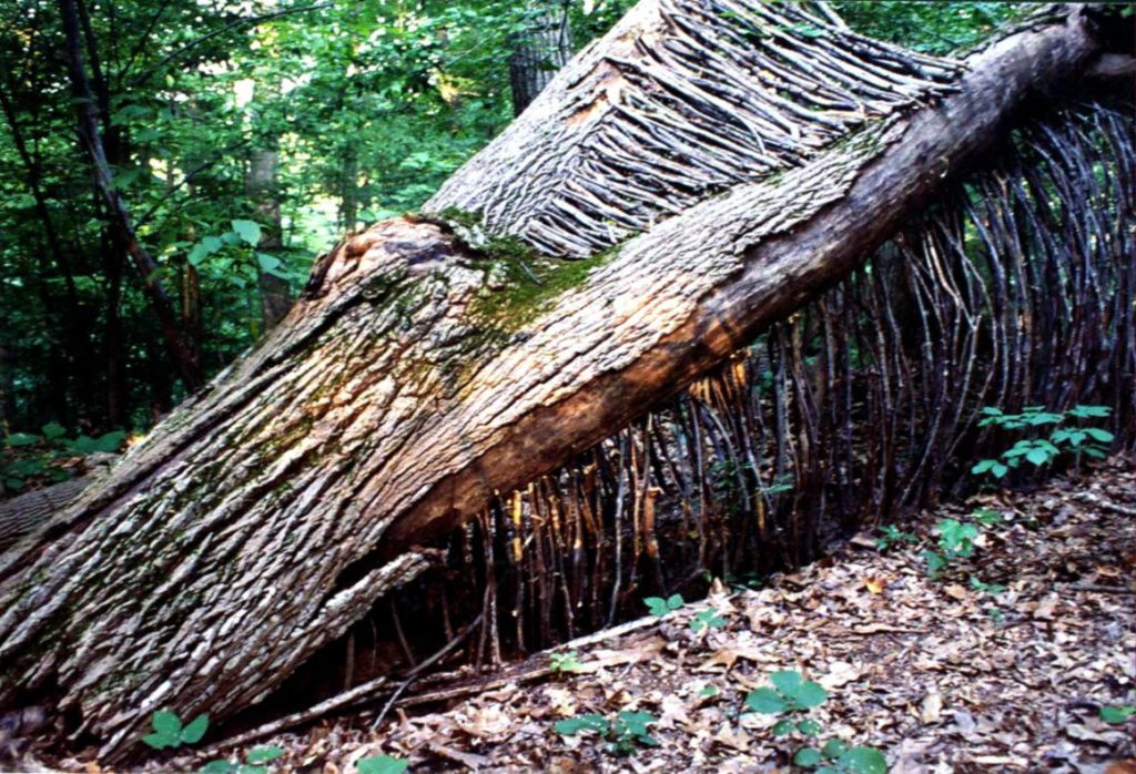 Shelter - 2006