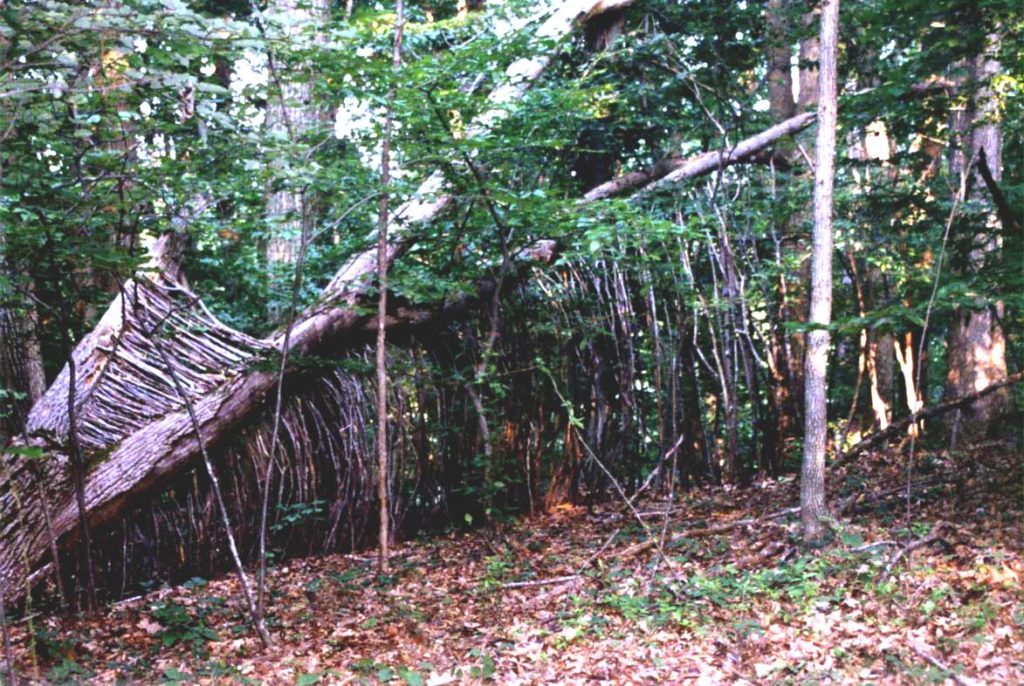 Shelter - 2006